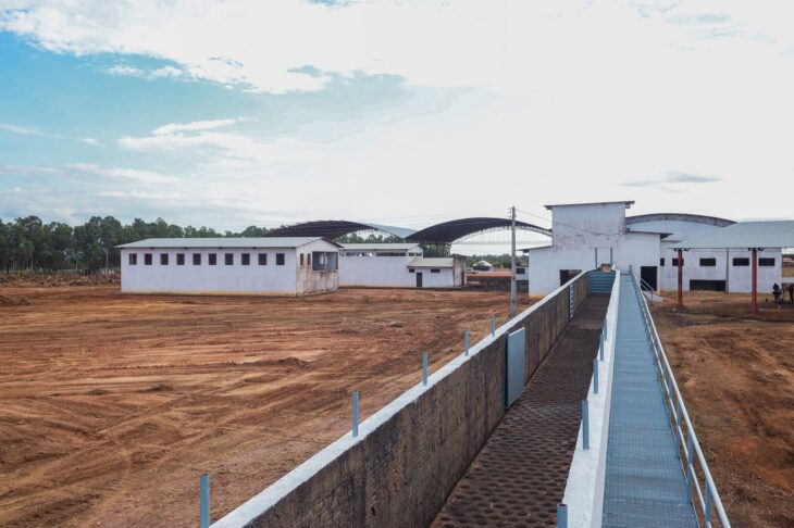 Piauí ganhará seu primeiro frigorífico agroindustrial